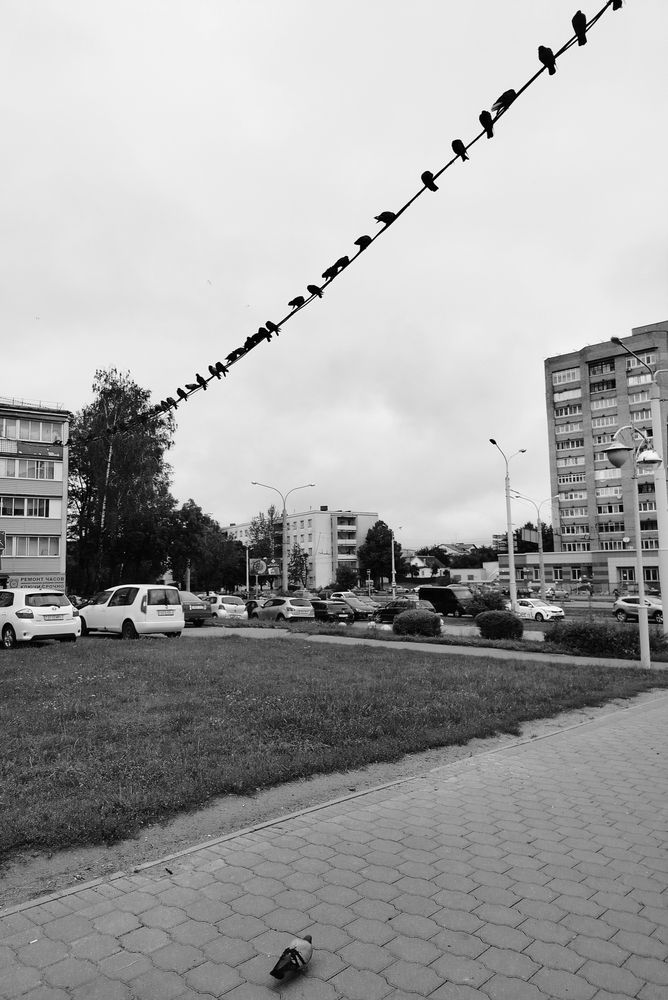 Фотография автора Наталья Драгун