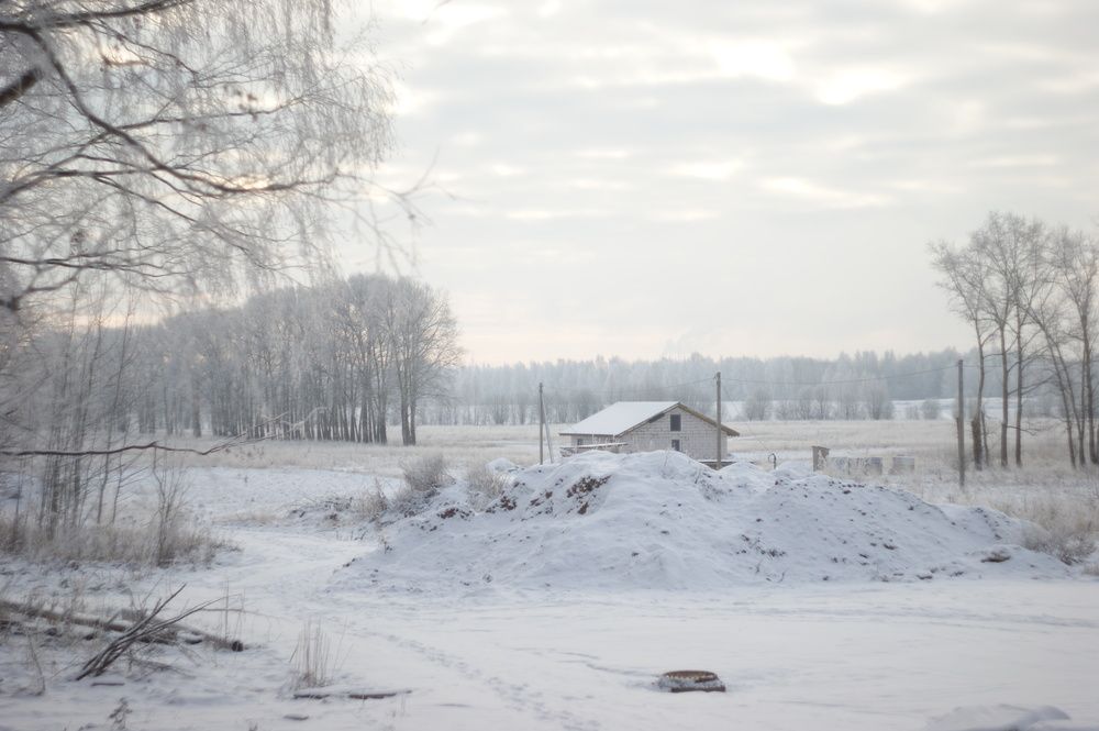 Photograph by Елена