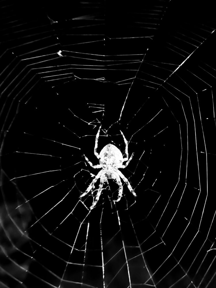 Фотография автора Любовь