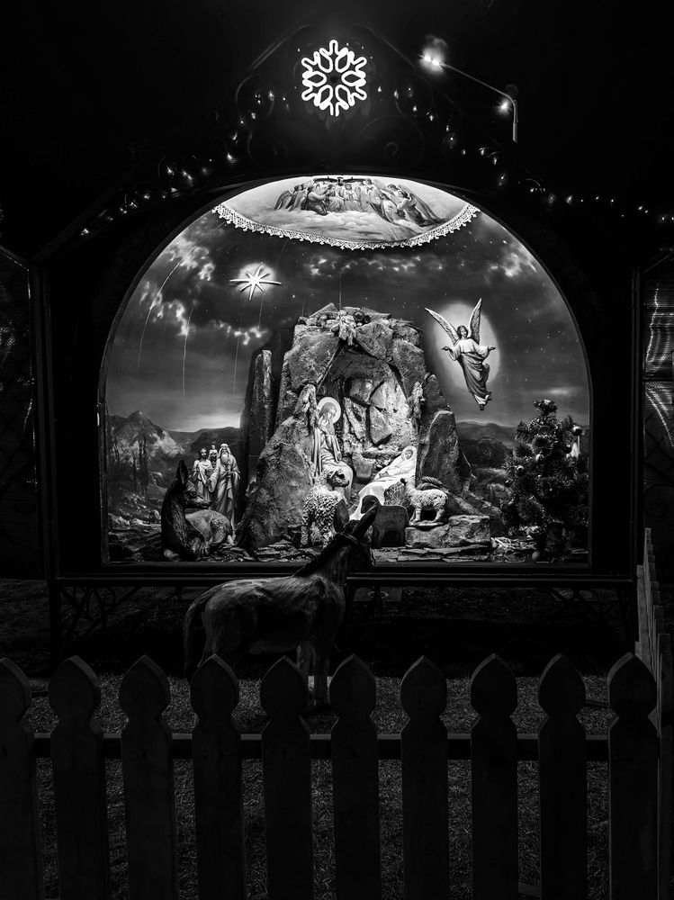 Фотография автора Любовь