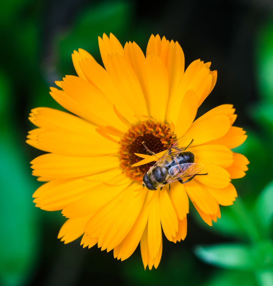 Фотография автора Рыболов Андрей
