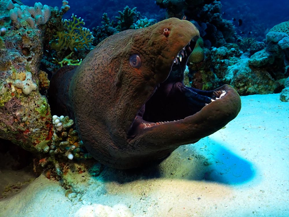 Photograph by Дмитрий Челноков