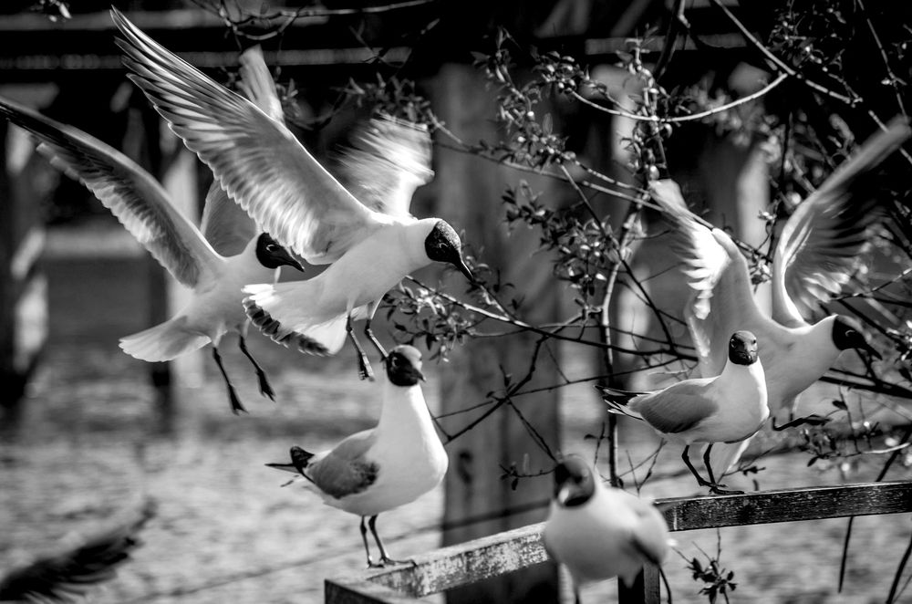 Photograph by Любовь Бусова