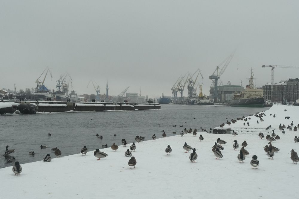 Photograph by Anastasia Vladimirovna