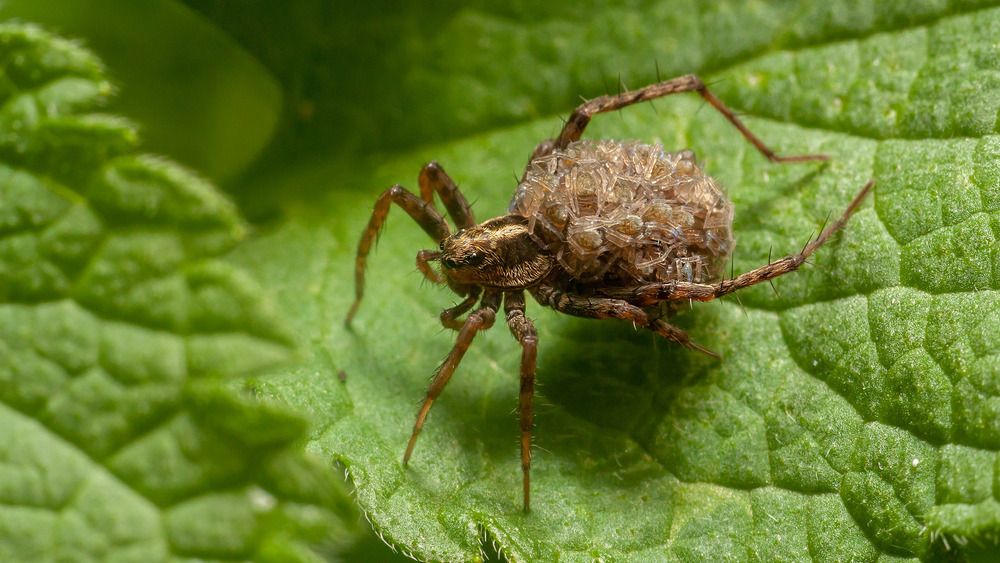 Photograph by Николаев Андрей