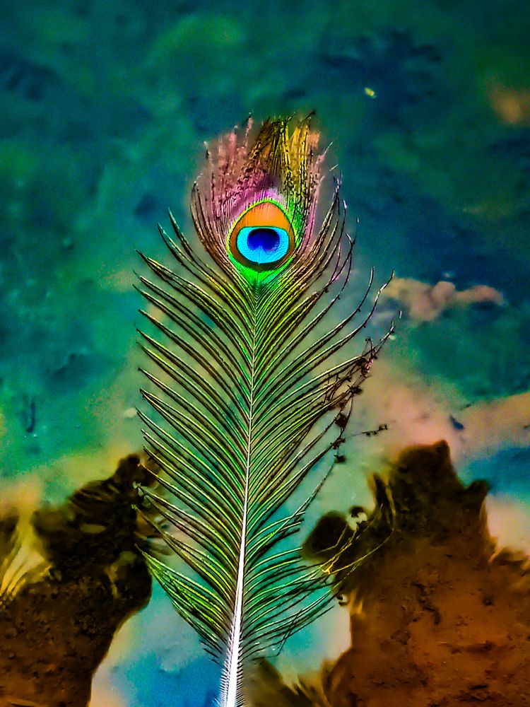 Photograph by SHRIYAKSHI