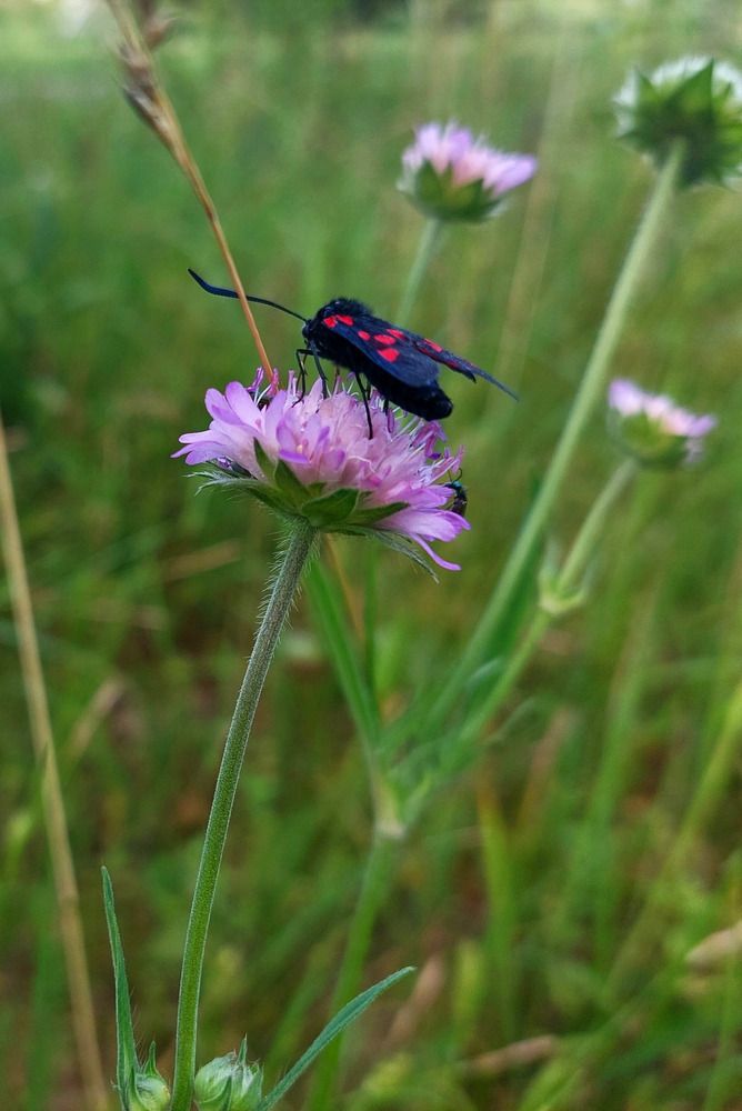 Photograph by Мария Яковлева
