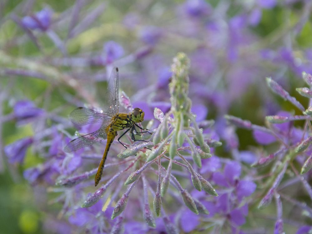 Photograph by Алексей Крукович