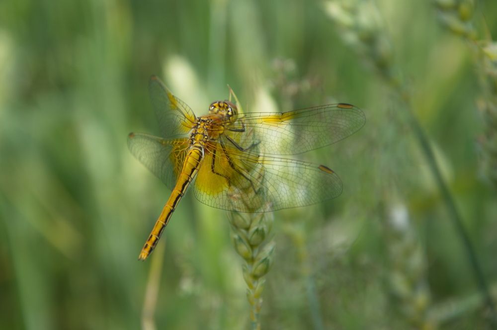 Photograph by Алексей Крукович