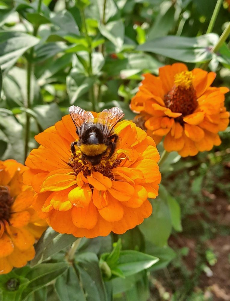 Photograph by Александра Насырова