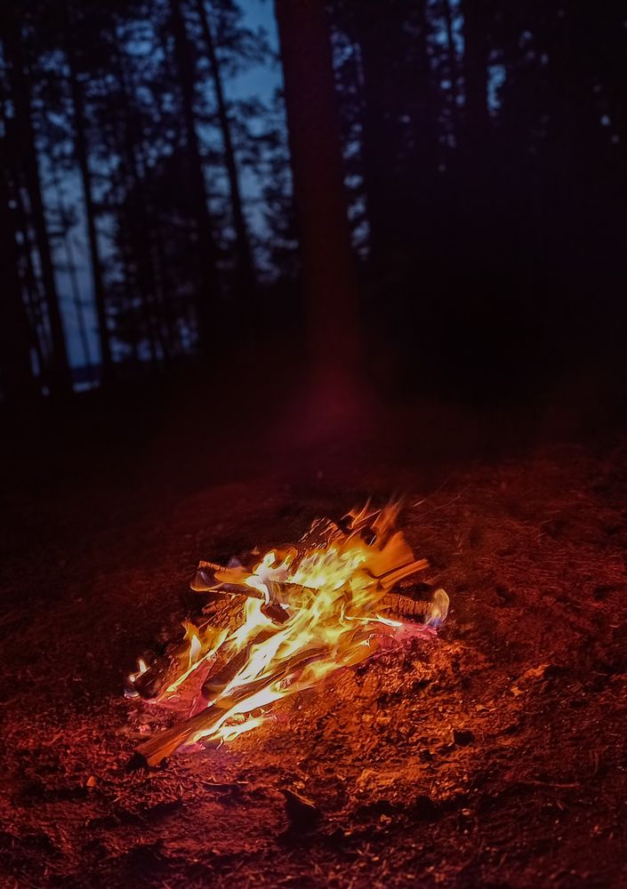 Photograph by Софья Титова