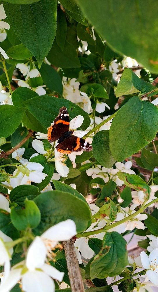 Photograph by Александра Насырова