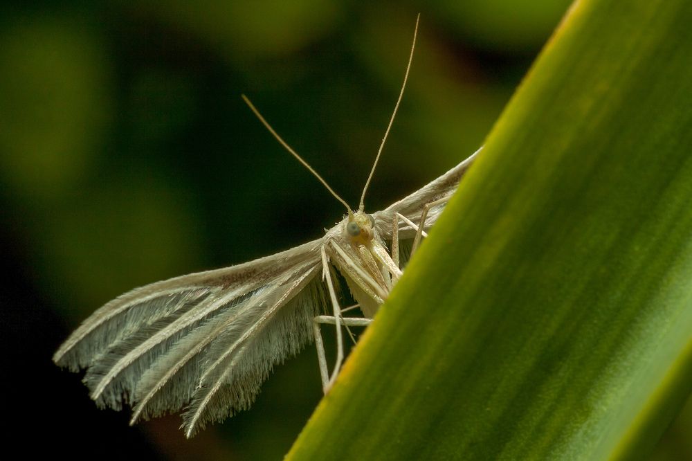 Photograph by Николаев Андрей
