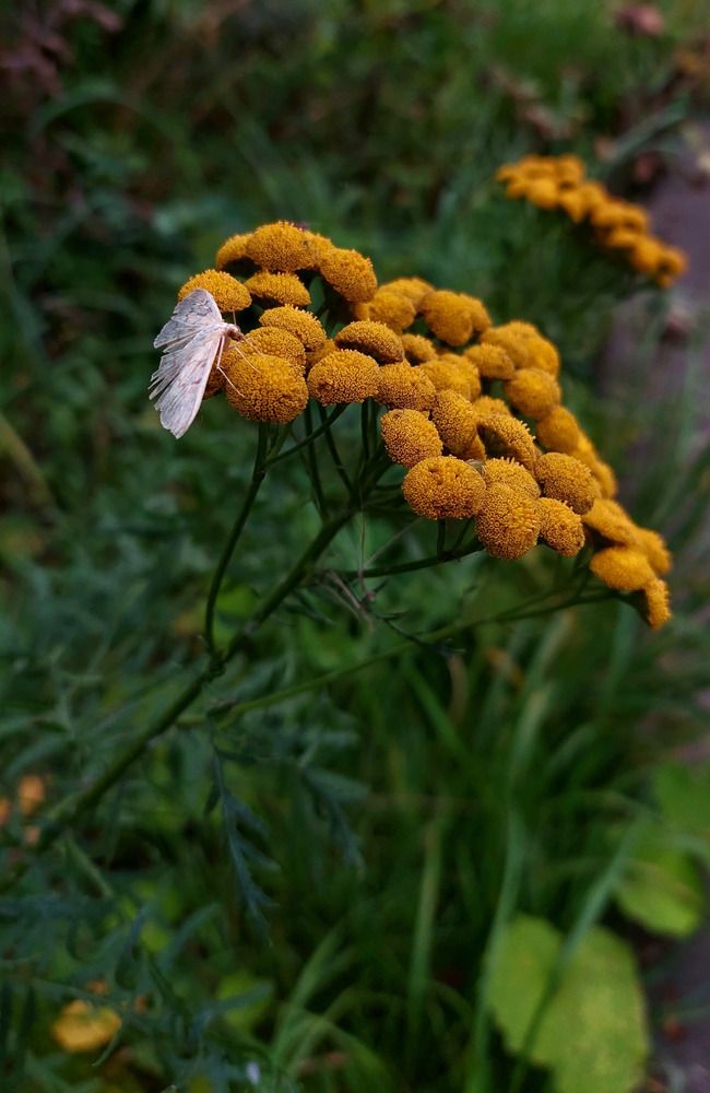 Photograph by Мария Яковлева