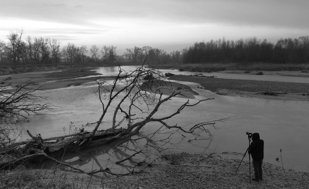 Фотография автора Шипунова Ирина