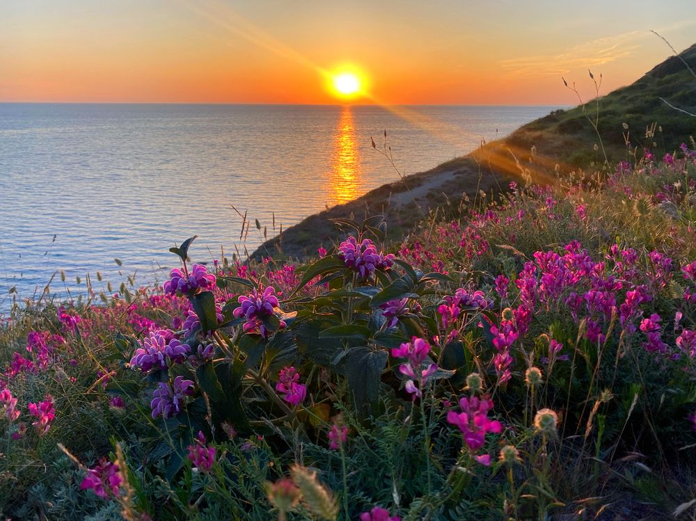 Фотография автора Екатерина Круглик