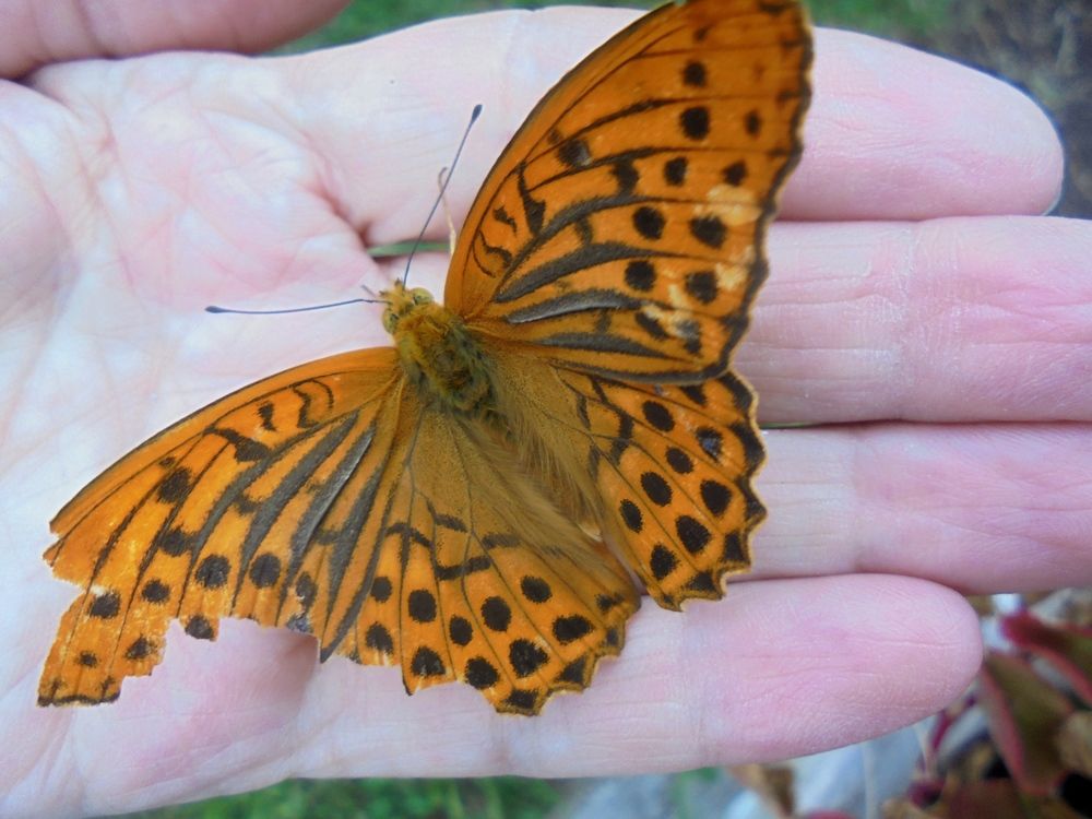 Photograph by Лилия Исхакова