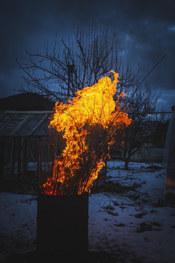 Фотография автора Каргин Валерий