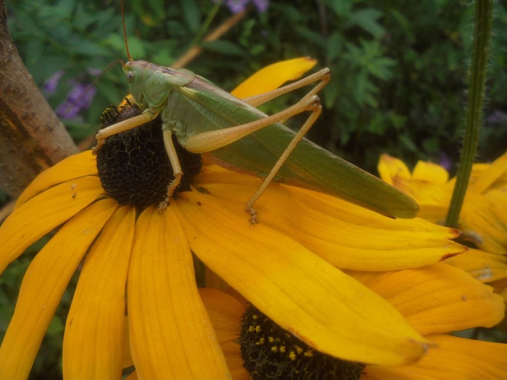 Photograph by Лилия Исхакова