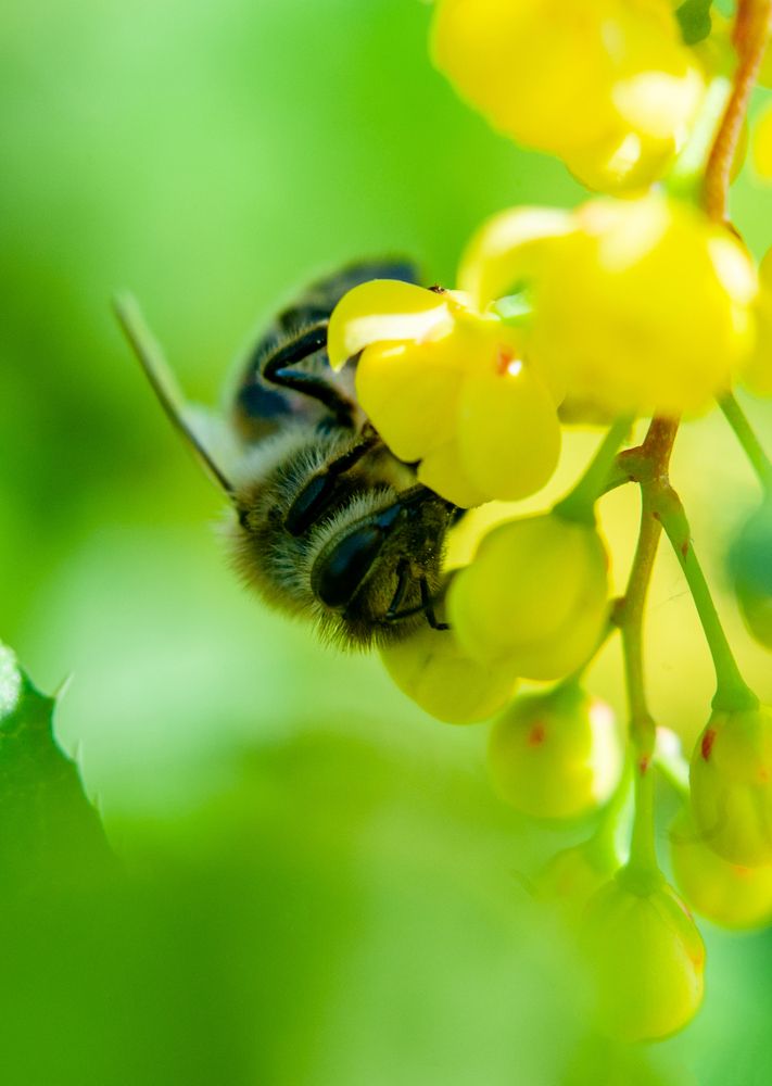 Photograph by Семенов Александр