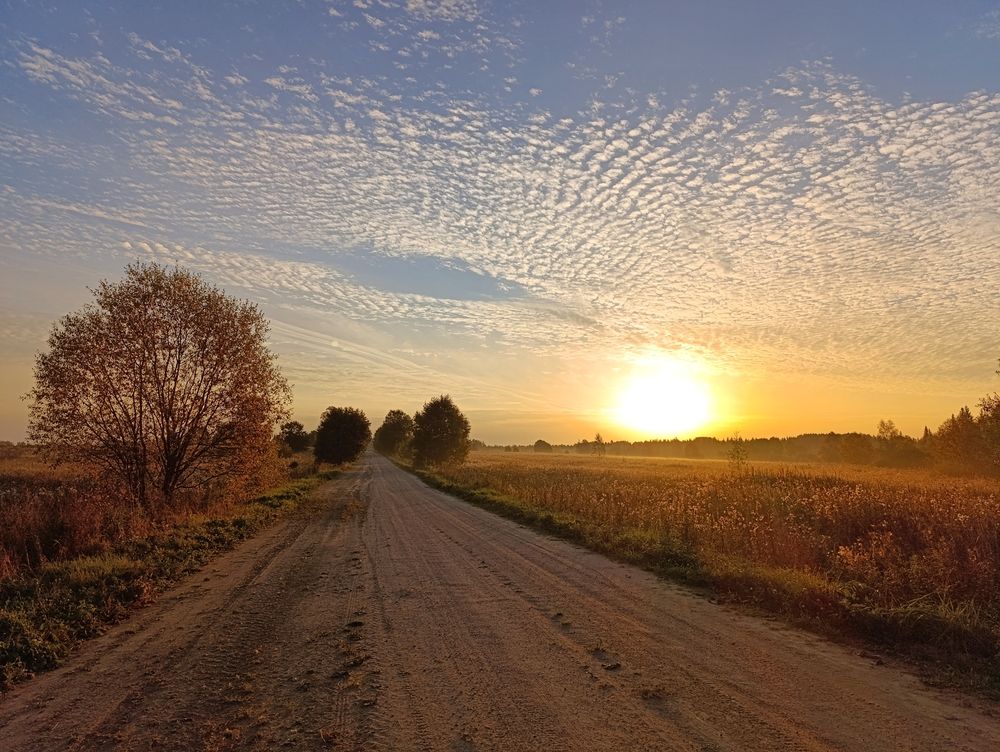 Фотография автора Андрей Шестаков