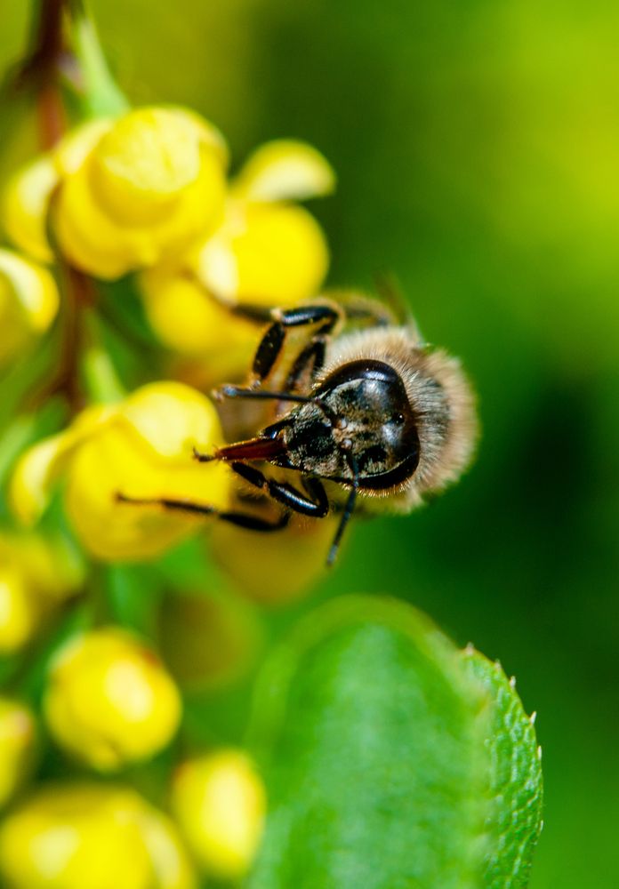 Photograph by Семенов Александр