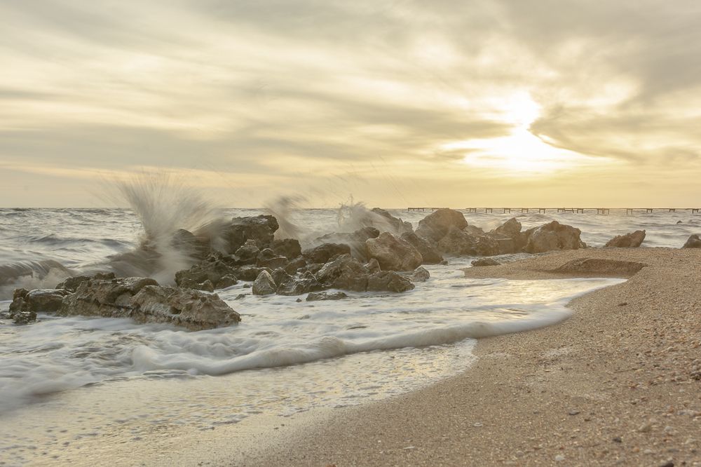 Photograph by Yudeny Lopez