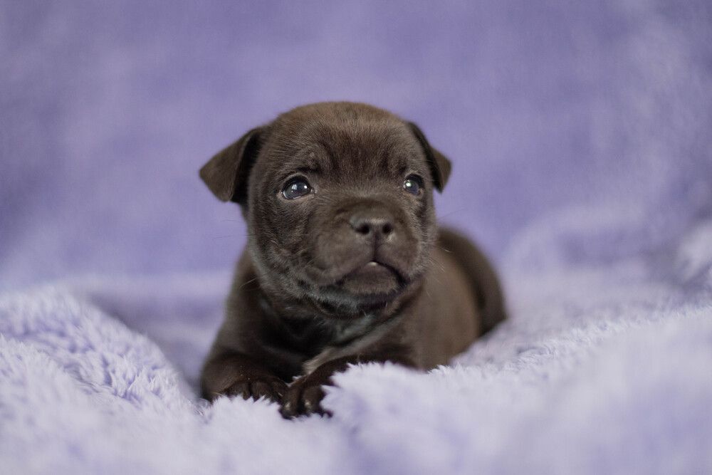 Photograph by Екатерина Медведева