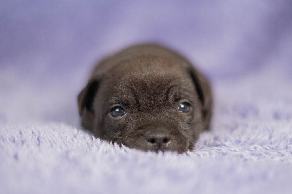 Photograph by Екатерина Медведева