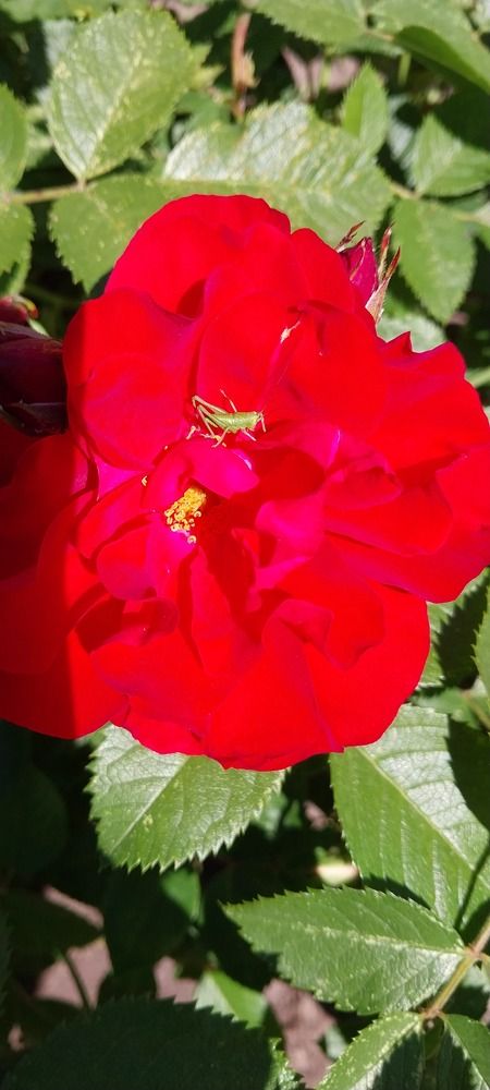 Photograph by Людмила Липаткина