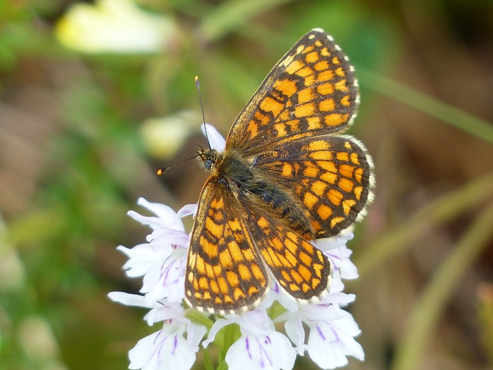 Photograph by Георгий Салюков