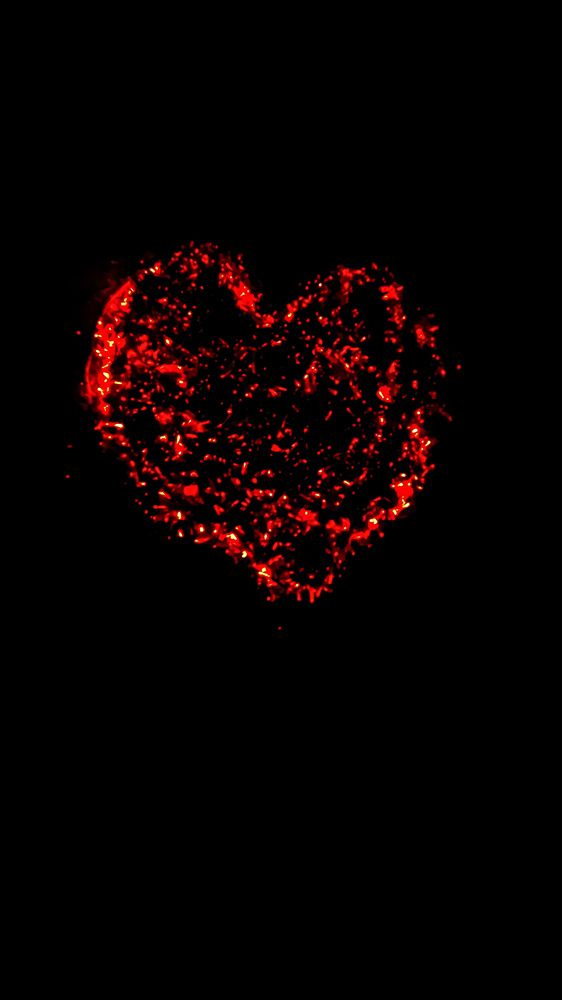 Фотография автора Наталья Алексеева