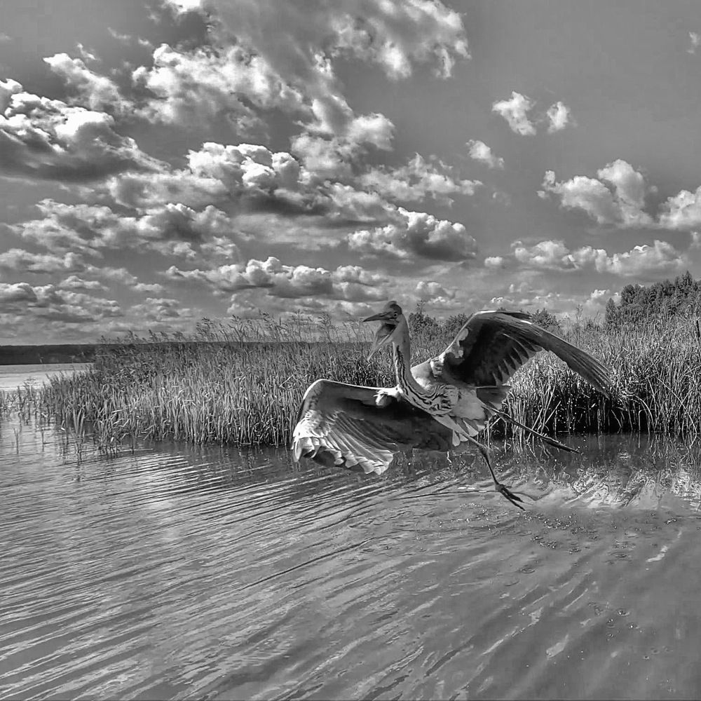 Photograph by Vladimir Petukhov