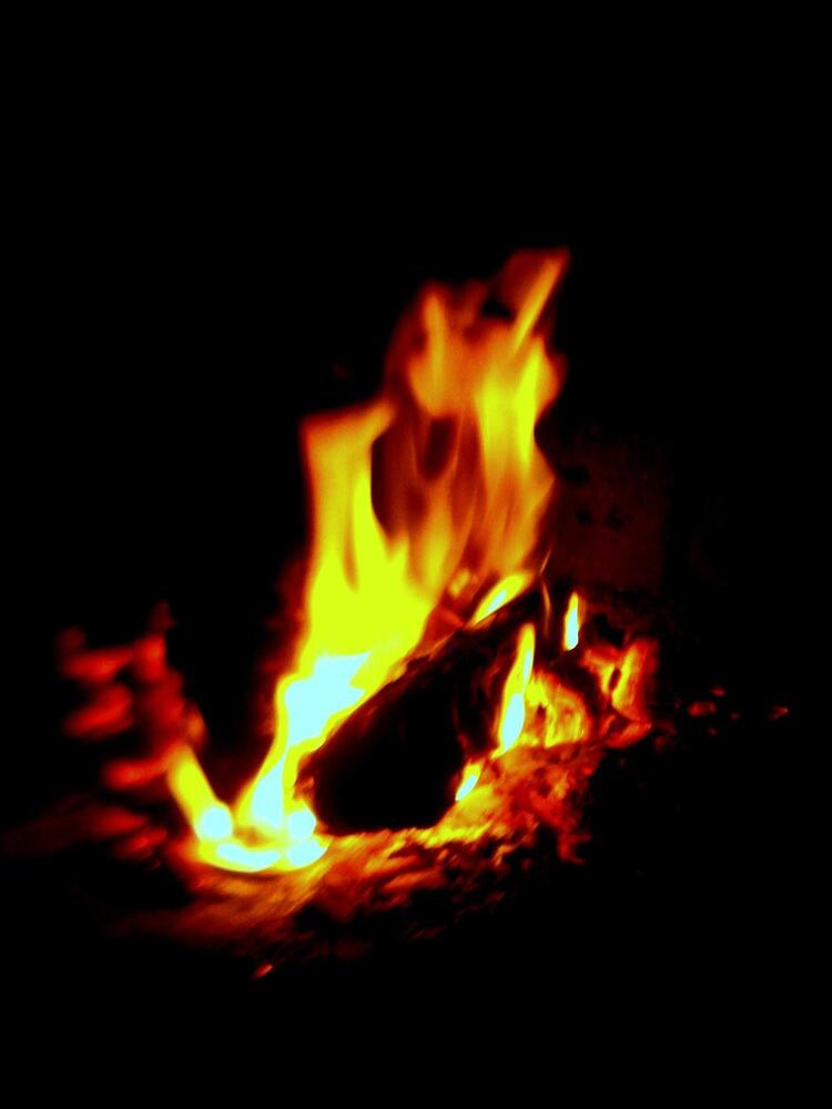 Фотография автора Павел Попов