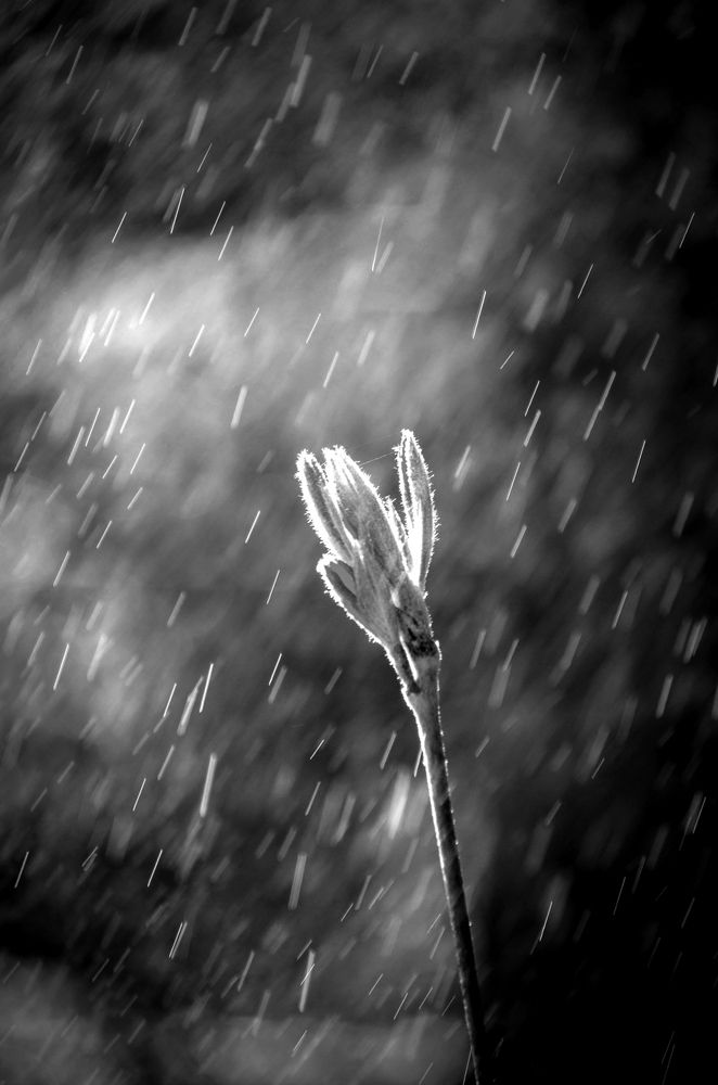 Photograph by Любовь Бусова