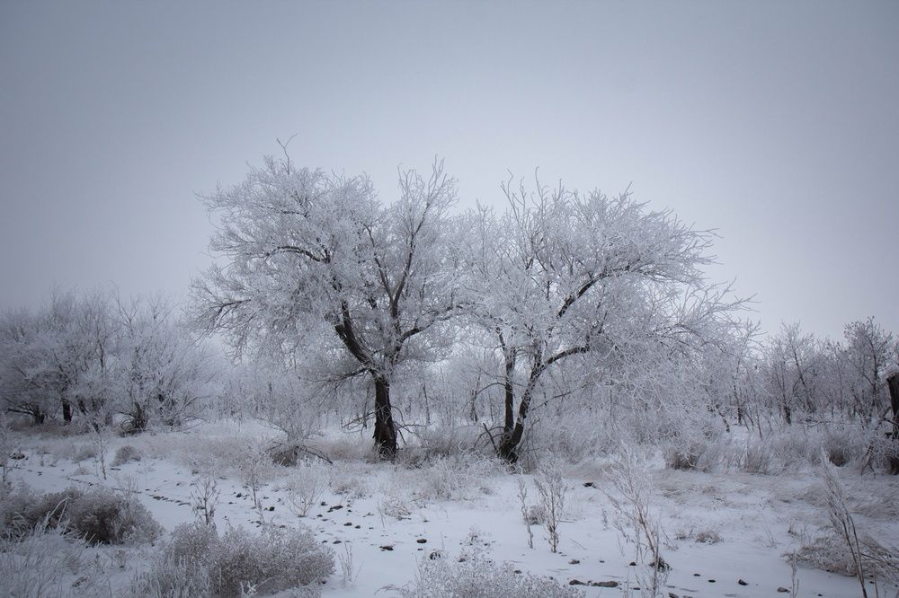 Photograph by Елена