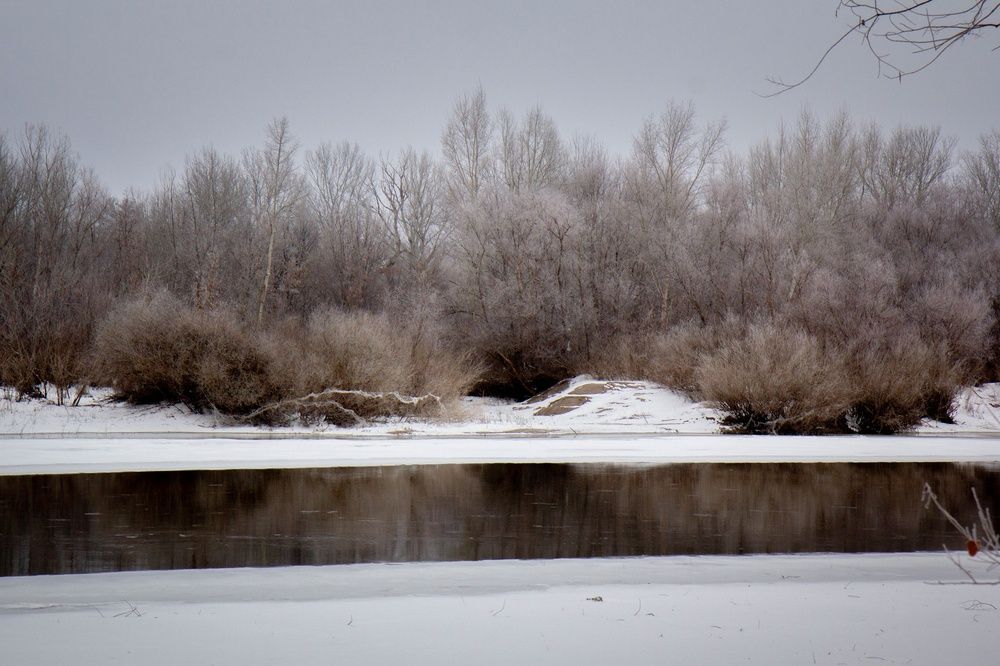 Photograph by Елена