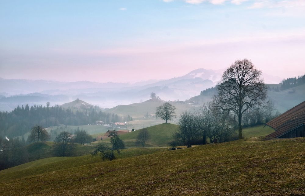 Photograph by Wymann Elena