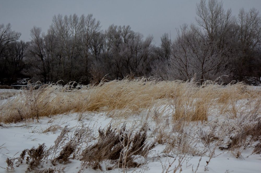 Photograph by Елена