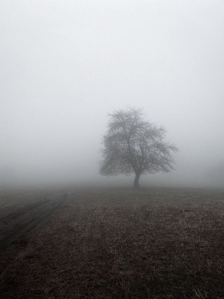 Photograph by Илья Горшенков