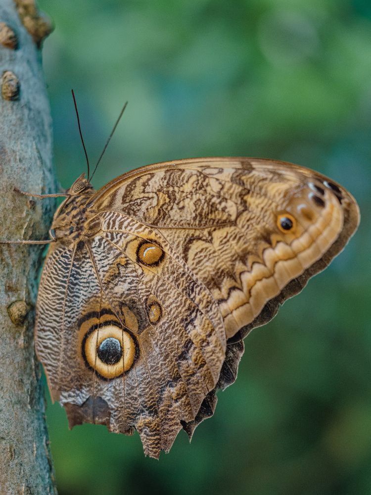 Photograph by Ирина Протченко