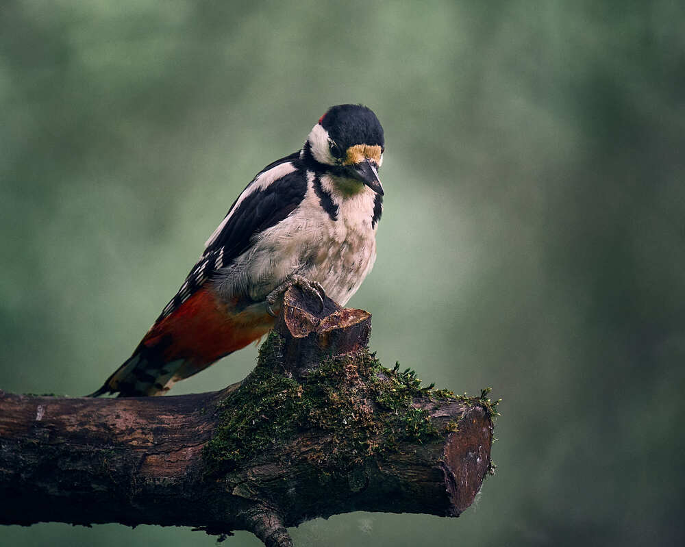 Photograph by Mikhail Khmelevskiy