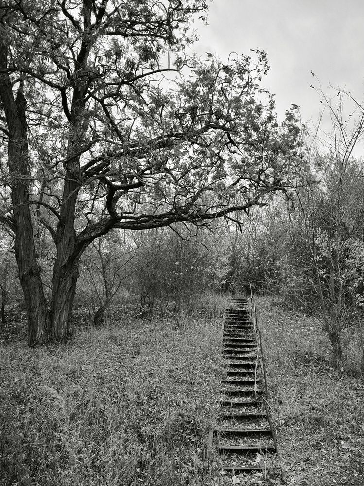 Photograph by Елена Чуб