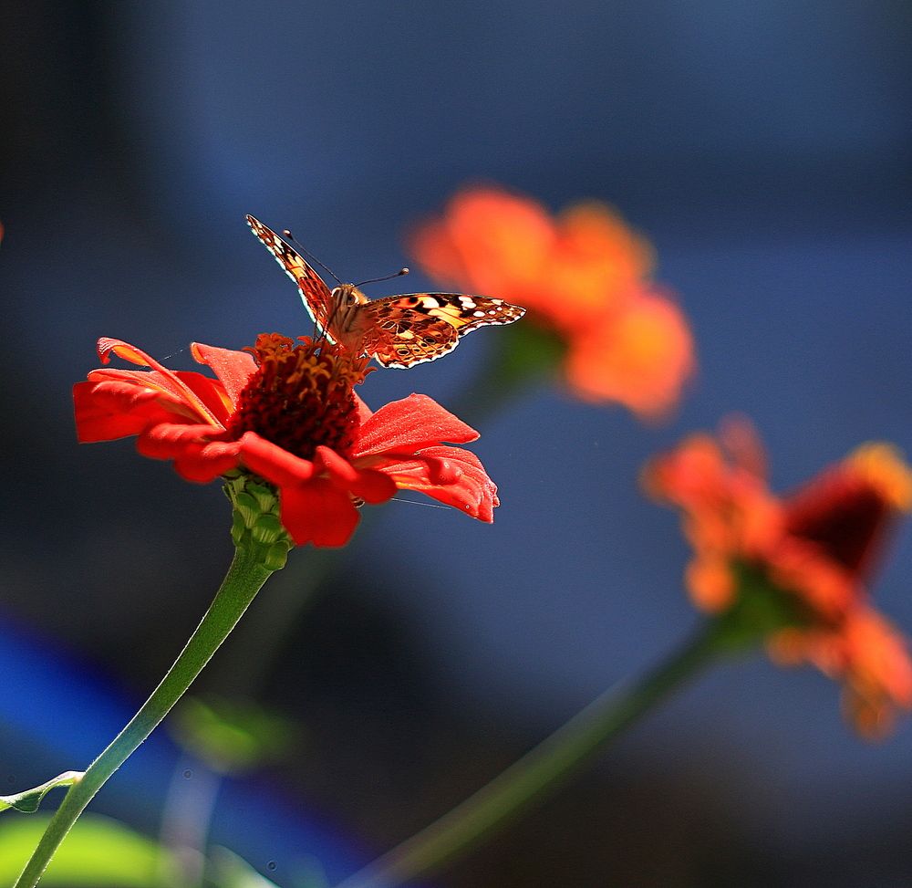 Photograph by Игорь Куленко