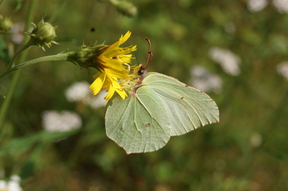 Photograph by Елена