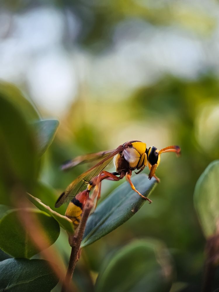 Photograph by Hannah Surji