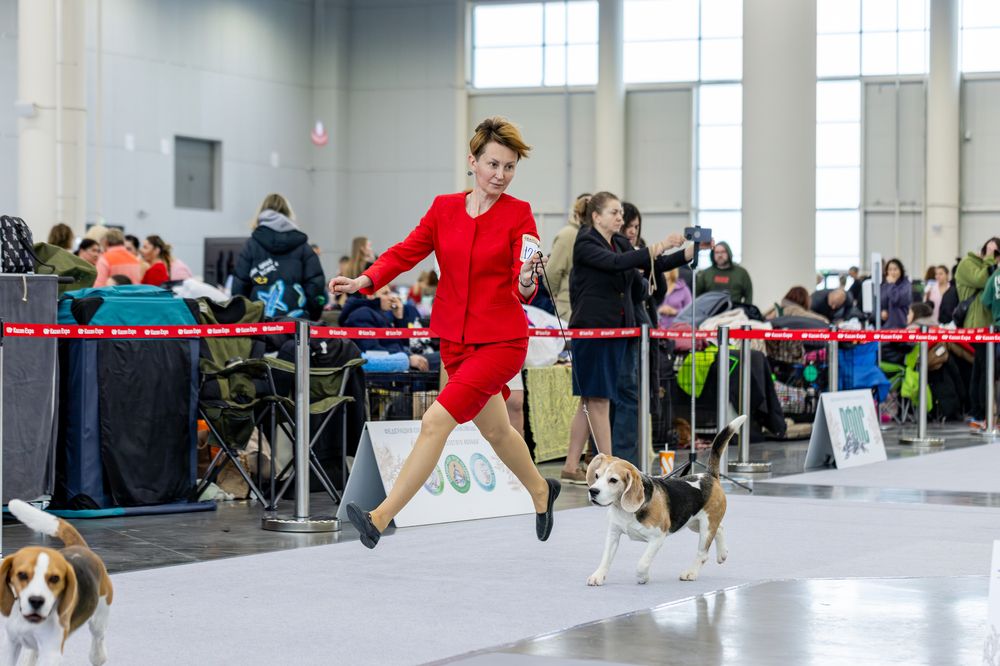 Photograph by Кирилл Ермолаев