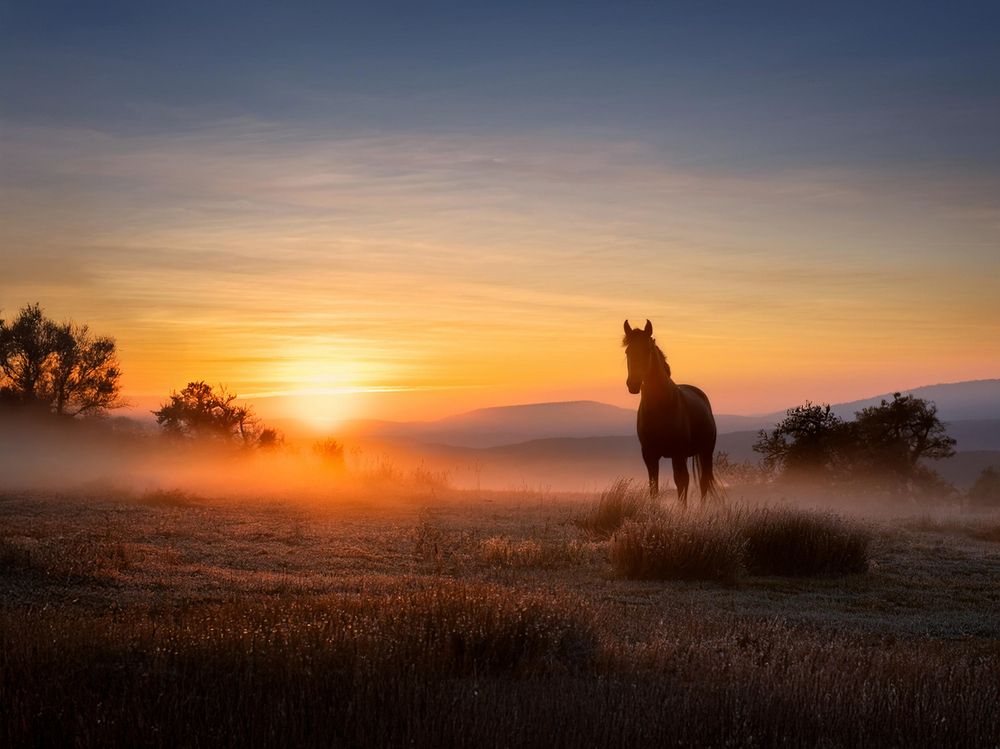 Photograph by Татьяна Степанова
