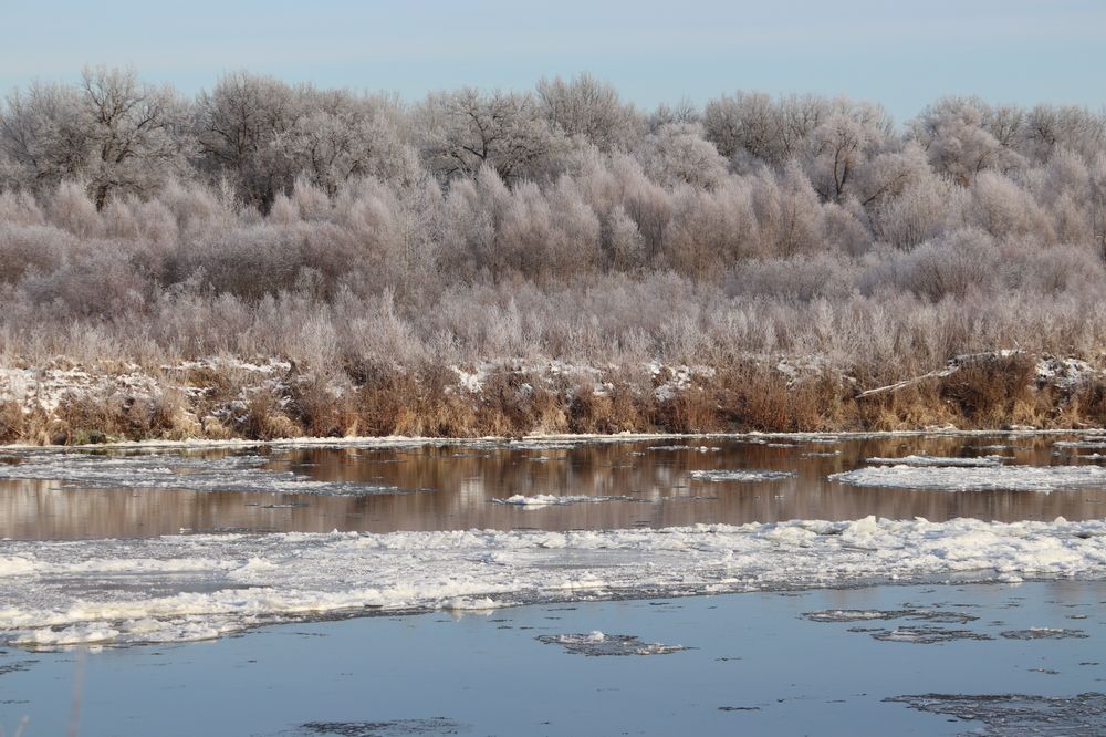 Photograph by Natalia Ulyanova
