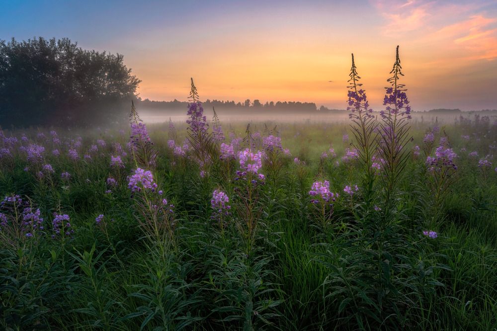 Photograph by Сергей Межин